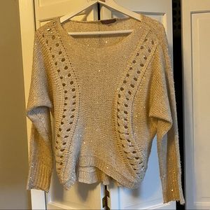 Francescas Cream/ Tan Sparkly Sweater